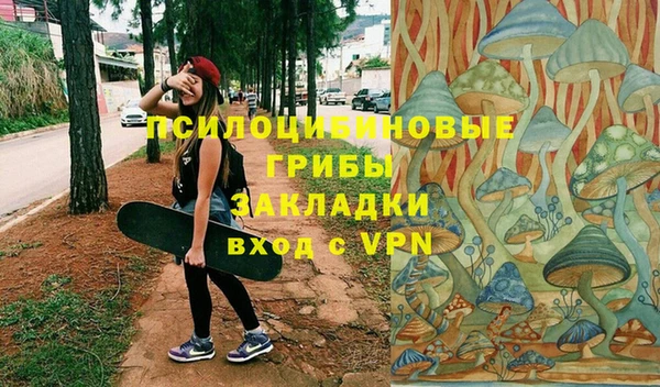 шишки Алзамай