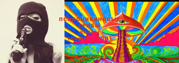 бошки Алексин
