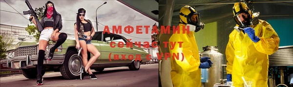 шишки Алзамай